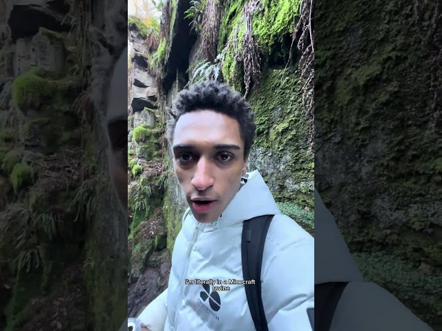 I climbed a MOUNTAIN.. #vlog #hike #outdoors