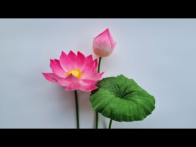 How To Make Lotus Paper Flower (P1) / Paper Flower / Góc nhỏ Handmade