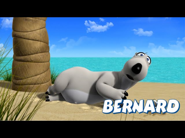 🐻‍❄️ BERNARD | What does BERNARD do during the summer?| Full Episodes | VIDEOS and CARTOONS FOR KIDS