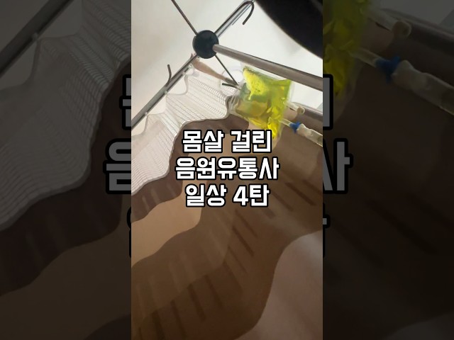 음원유통사 일상 4탄-승인 거절 나는 음반