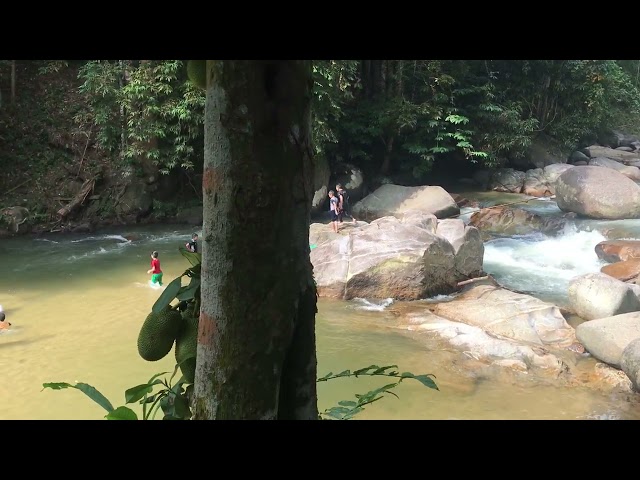 Swimming at Batang Kali river