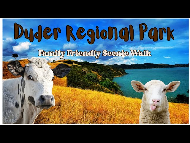 Duder Regional Park: Breathtaking Coastal Views & Scenic Trails 4K Solo Traveler [English Subtitles]