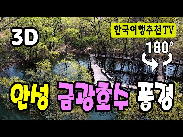 🔴 180° 3D VR 안성 금광호수 - Anseong Gold Lake in Korea (with Clova Dubbing)