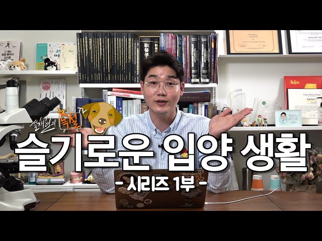 슬기로운 입양생활 #1 강아지 입양 어디서 해야 할까? (펫샵, 가정분양, 보호소등등)