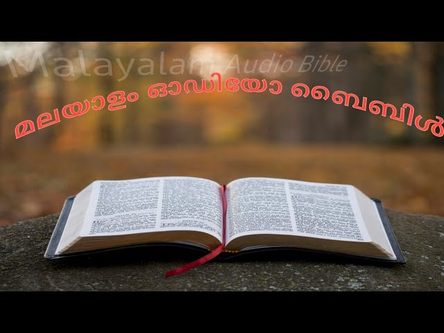 Malayalam Audio Bible Genesis 24 (മലയാളം ഓഡിയോ ബൈബിൾ ഉല്പത്തി: 24)