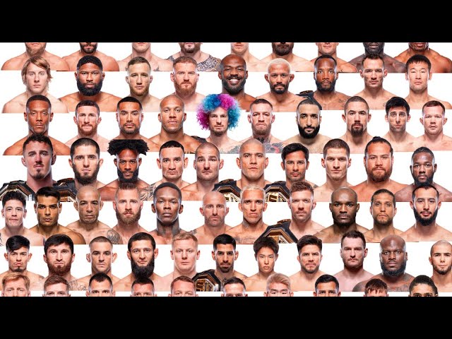 Breaking Down Every Ranked Fighter In The UFC