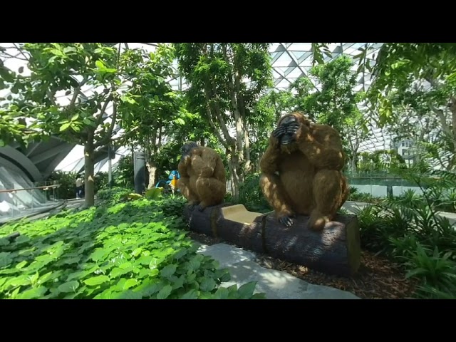 3D VR Virtual Video of Jewel Changi Airport ! world's tallest indoor waterfall - Part 2