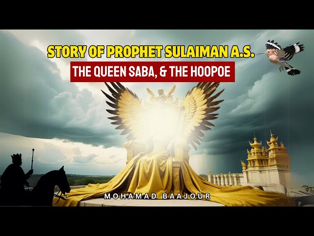 Story of Prophet Sulaiman A.S, The Queen Saba, & The Hoopoe | Mohamad Baajour