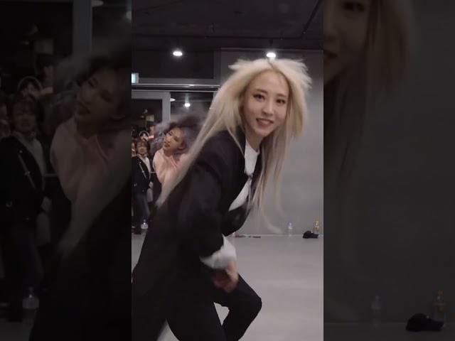 Gogobebe | DVU