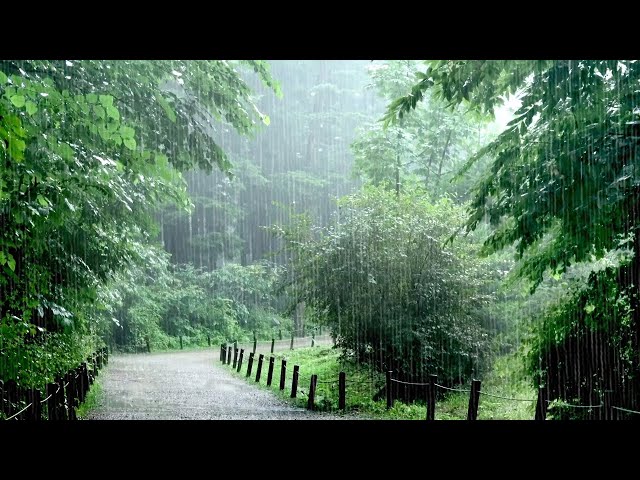 Sleep and Relax with Heavy Rain. Rain Sounds, Nature Sounds, Sleep Music for Sleep, Meditation