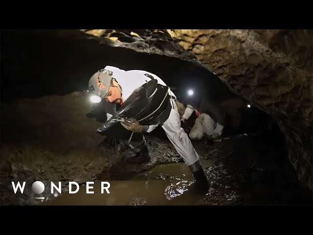 Near Death Experience: Inside The World's Deepest Cave