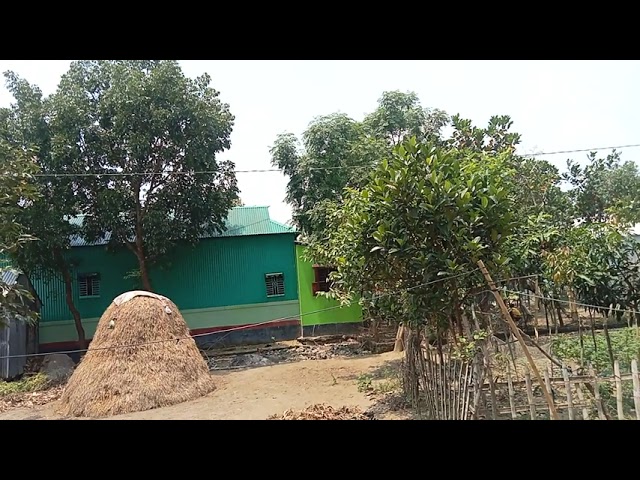 village Life 2024  #youtube #home #life #style