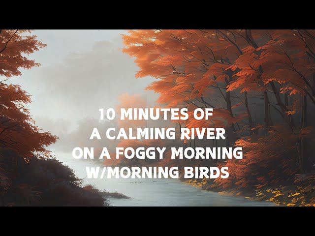 ASMR Sleep Aid #15 (Calm River on a Foggy Morning W/ Birds) #asmr #calm #sleep #relaxing #sleepaid