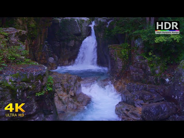 [Natural sounds] Water sound tour of Yumori Valley full of unexplored feeling [4K HDR]