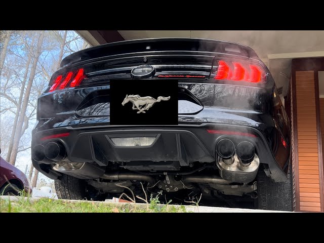 2019 Mustang GT Cold Start | Ford Performance by Borla Extreme Cat-Back Exhaust