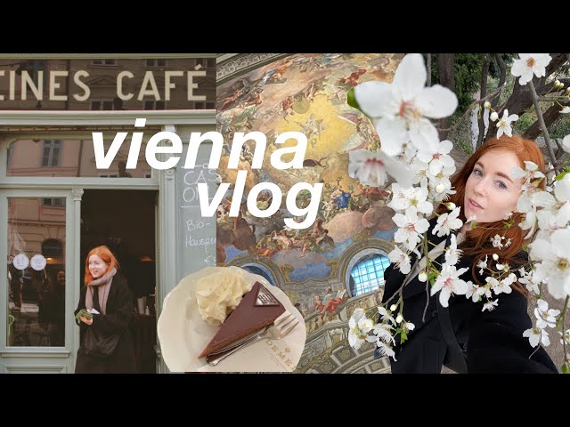 My First Solo Trip to Vienna ☕️ 3 Days in Austria VLOG