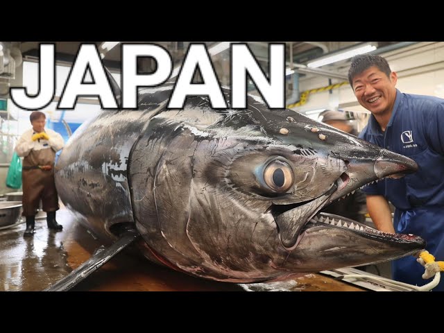 🐟🍣 JAPANESE STREET FOOD, GIANT BLUEFIN TUNA FISH CUTTING FOR SASHIMI BY A MASTER SUSHI CHEF, 4K HDR