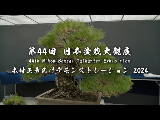 第44回 日本盆栽大観展  木村正彦氏のデモンストレーション 2024