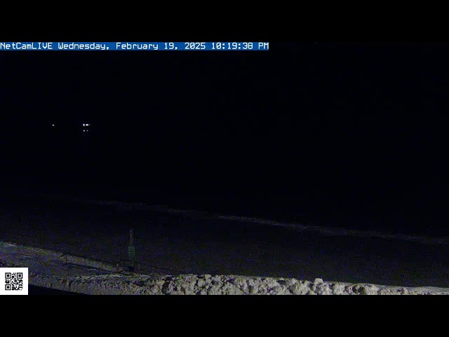 Steve Seabury Higgins Beach Properties Live Webcam