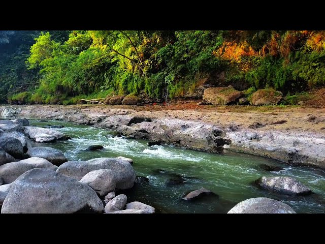 The Sound of Peaceful Mountain River, Relaxing  Nature Sounds for Relaxation, Meditation