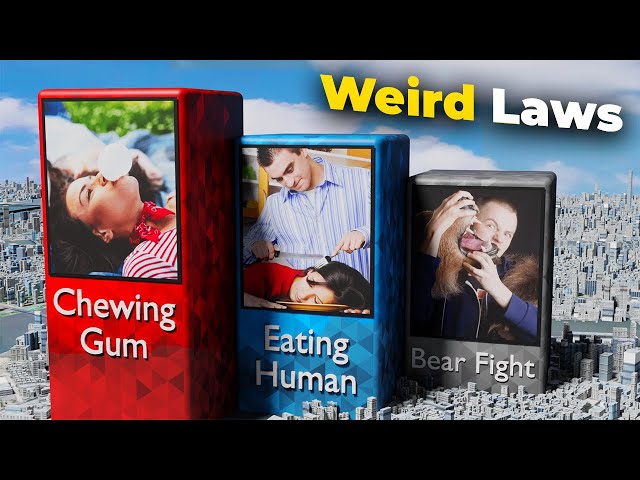 Weird Laws From Different Countries | Strange Laws | 3D Data Comparison