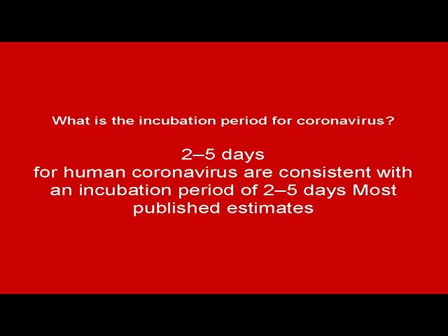 will coronavirus spread in us what you need to know and how to avoid coronavirus