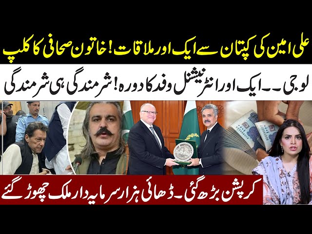 Inside Story Of Imran Khan & Ali Amin Gandapur Meeting l Internation Delagation In Pakistan