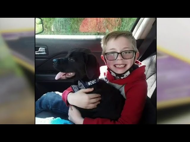 8-year-old boy sells his Pokemon cards to help pay for dog's surgery