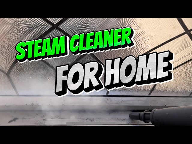 Steam Cleaner For Home