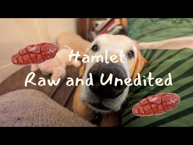 😮🥩WHAT IS DRIED KIDNEY WAIT⁉️ HOW LONG CAN YOU WAIT FOR IT⁉️😤 📹 RAW AND UNEDITED ‼️VIDEO 23