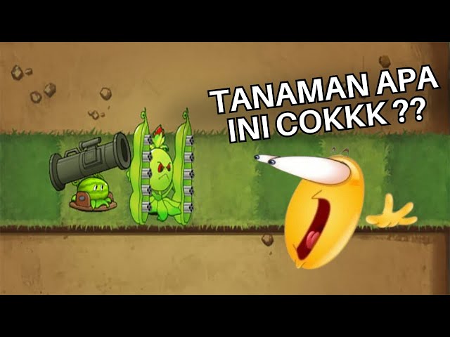 Game Plants Vs Zombies Terkocak Yang Pernah Ku Mainkan