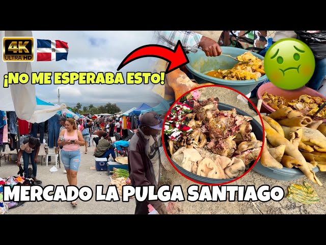 VISITANDO 😬🤢 el Mercado MÁS CAÓTICO de SANTIAGO RD🇩🇴; Mercado La Pulga #republicadominicana