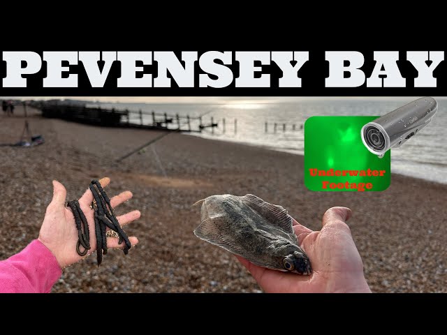 A Fan-DABBY-Dozy Day Fishing for DABS | Pevensey Bay | East Sussex