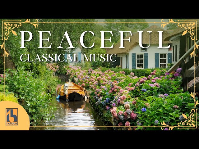 Peaceful Classical Music | Bach, Mozart, Vivaldi...