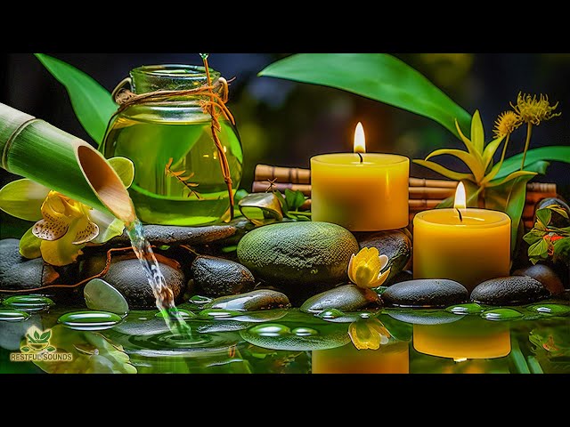 Healing Sleep Music - Eliminate Stress, Water Sounds, Meditation Music, Bamboo, Calming Music, Relax