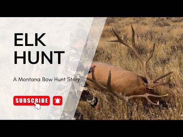 Montana Public Land Archery Elk Hunt Story 2024