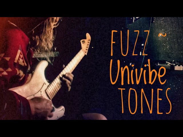 Fuzz ~ UniVibe tones | ( My 2 Favourite Pedals )