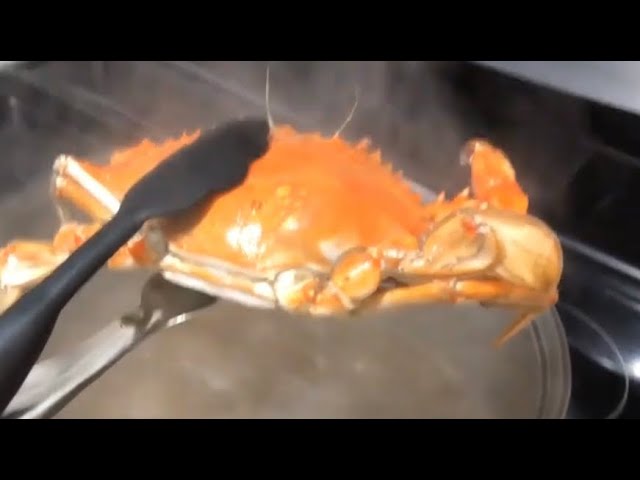 How To Eat Blue Crabs