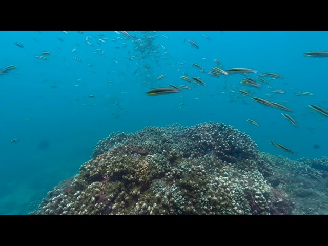 Meta Honduras Panama Montage 6min VR3D 180 LR