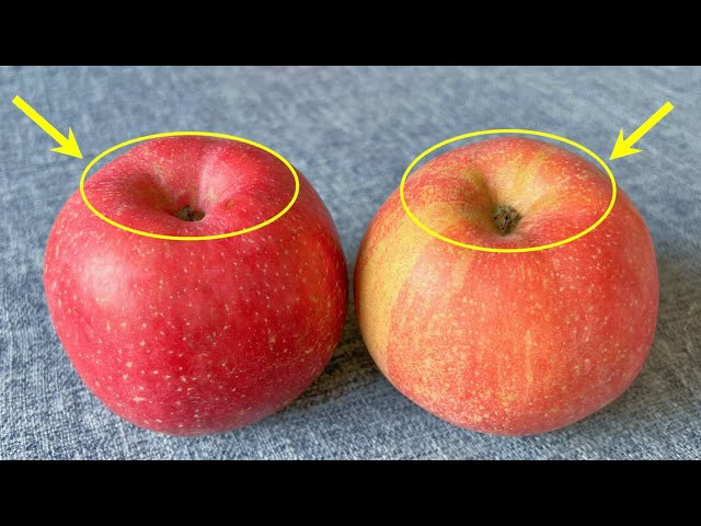 Whether an apple is sweet or not, just look at this location to know, pick one right,