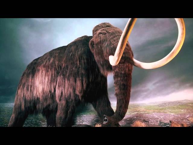 Moment in History's, Museum Mysteries: Ep.3 The Woolly Mammoth