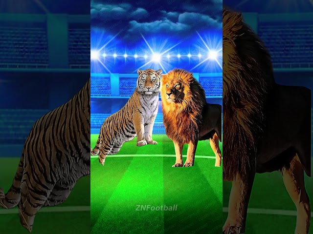 Ronaldo, Tiger, Black Panther VS Messi, The Rock, Lion 🤯🦁🐯