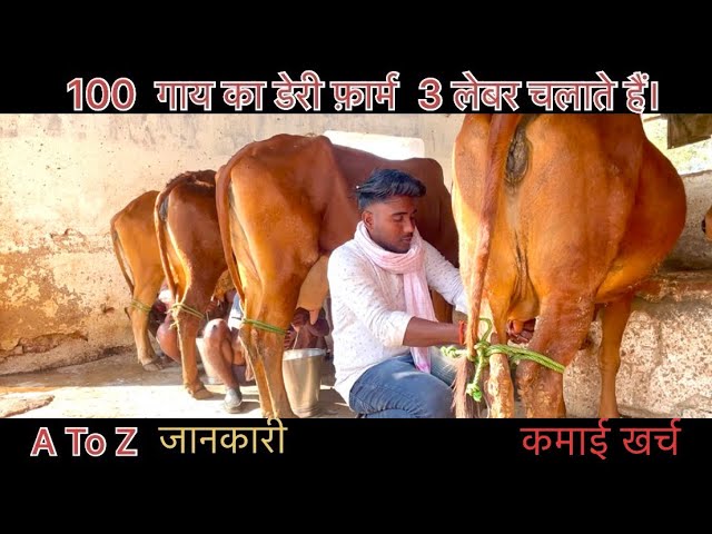 (Part:-2) देशी गाय से कर रहे तगड़ी कमाई |Desi cow milk farm |cow milk business |Dairy farm |Desi cow