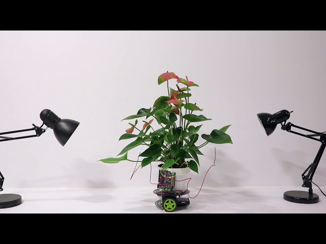 Elowan: A Plant-Robot Hybrid