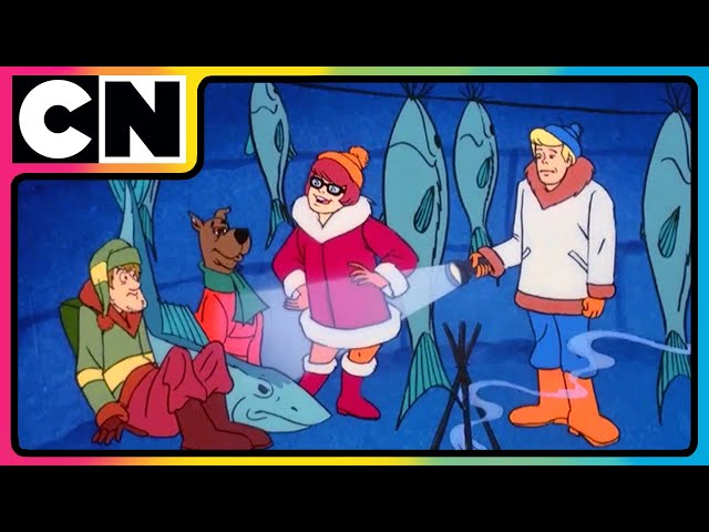 Scooby Doo 🐶| Spooky Fun with Scooby and the Gang! 💀🐶 | Cartoon for Kids | 90s cartoons  | @cnindia