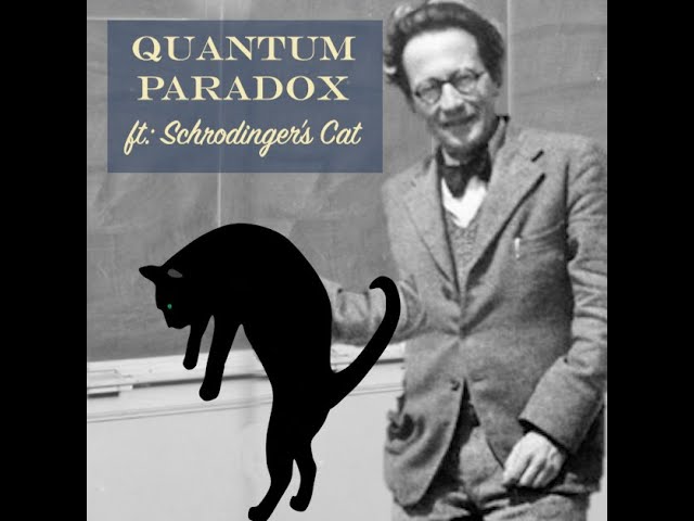 Quantum Paradox ft Schrodinger's Cat