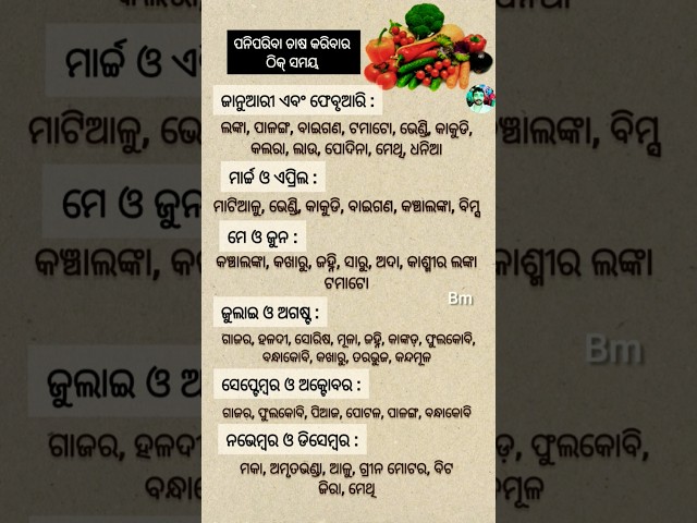 ପନିପରିବା ଲଗାଇବାର ସଠିକ୍ ସମୟ | Right time to harvest Vegetables #vegetables #odia