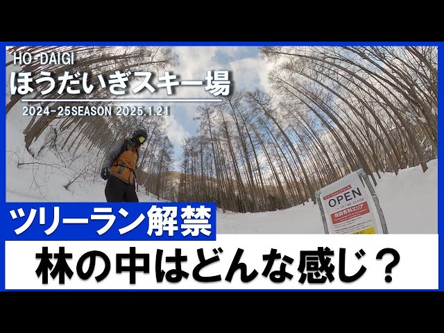 ほうだいぎスキー場/ツリーラン/2025.1.23【GoProMAX】