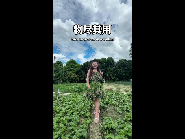 物尽其用，各得其所#我的乡村生活 #乡村气息