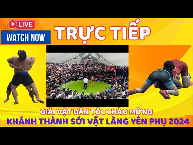 🔴🤼CHIỀU 20.10 TRỰC TIẾP HỘI VẬT ĐỀN NÚI YÊN PHỤ YÊN PHONG DỊP KHÁNH THÀNH SỚI VẬT LÀNG